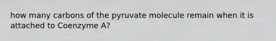 how many carbons of the pyruvate molecule remain when it is attached to Coenzyme A?