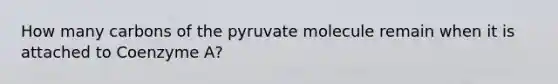 How many carbons of the pyruvate molecule remain when it is attached to Coenzyme A?