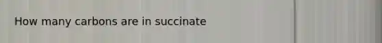 How many carbons are in succinate