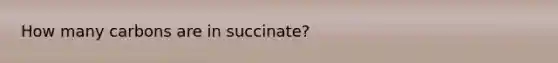 How many carbons are in succinate?