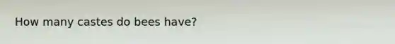 How many castes do bees have?