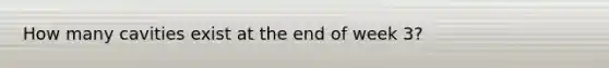 How many cavities exist at the end of week 3?