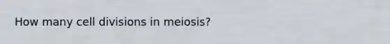 How many cell divisions in meiosis?