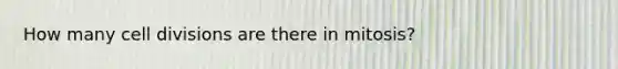 How many cell divisions are there in mitosis?
