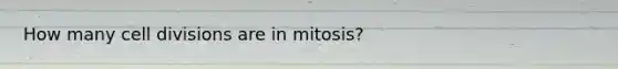 How many cell divisions are in mitosis?