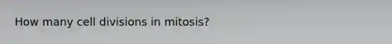 How many cell divisions in mitosis?