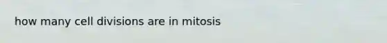 how many cell divisions are in mitosis