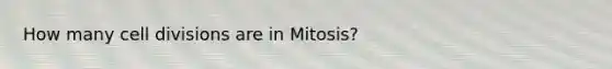 How many cell divisions are in Mitosis?