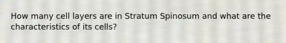 How many cell layers are in Stratum Spinosum and what are the characteristics of its cells?