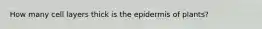How many cell layers thick is the epidermis of plants?