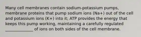 Many cell membranes contain sodium-potassium pumps, membrane proteins that pump sodium ions (Na+) out of the cell and potassium ions (K+) into it; ATP provides the energy that keeps this pump working, maintaining a carefully regulated ______________ of ions on both sides of the cell membrane.