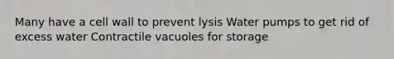 Many have a cell wall to prevent lysis Water pumps to get rid of excess water Contractile vacuoles for storage