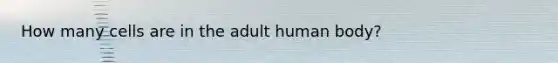 How many cells are in the adult human body?