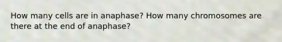 How many cells are in anaphase? How many chromosomes are there at the end of anaphase?