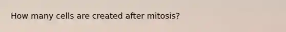 How many cells are created after mitosis?