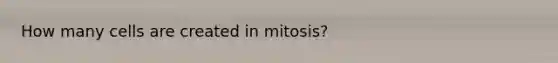 How many cells are created in mitosis?