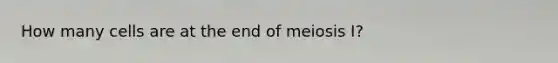 How many cells are at the end of meiosis I?