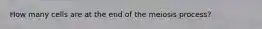 How many cells are at the end of the meiosis process?