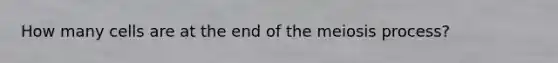 How many cells are at the end of the meiosis process?