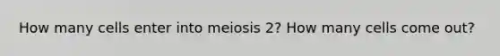 How many cells enter into meiosis 2? How many cells come out?