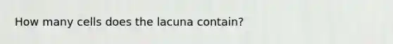 How many cells does the lacuna contain?