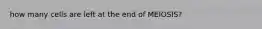 how many cells are left at the end of MEIOSIS?