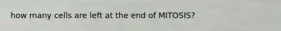 how many cells are left at the end of MITOSIS?