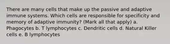 There are many cells that make up the passive and adaptive immune systems. Which cells are responsible for specificity and memory of adaptive immunity? (Mark all that apply) a. Phagocytes b. T lymphocytes c. Dendritic cells d. Natural Killer cells e. B lymphocytes