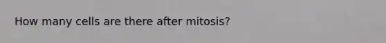 How many cells are there after mitosis?