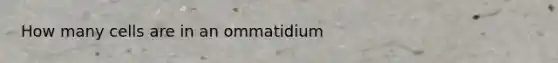 How many cells are in an ommatidium