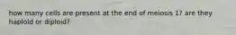 how many cells are present at the end of meiosis 1? are they haploid or diploid?