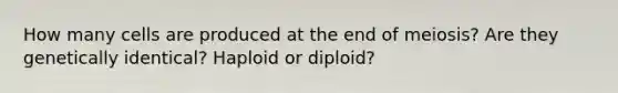 How many cells are produced at the end of meiosis? Are they genetically identical? Haploid or diploid?