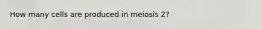 How many cells are produced in meiosis 2?