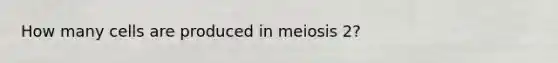 How many cells are produced in meiosis 2?