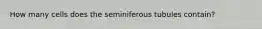 How many cells does the seminiferous tubules contain?