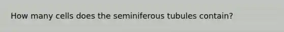 How many cells does the seminiferous tubules contain?