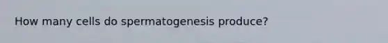 How many cells do spermatogenesis produce?