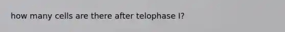 how many cells are there after telophase I?