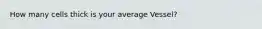 How many cells thick is your average Vessel?