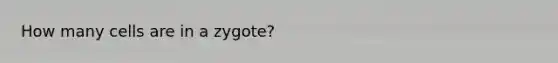 How many cells are in a zygote?