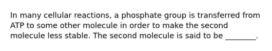 In many cellular reactions, a phosphate group is transferred from ATP to some other molecule in order to make the second molecule less stable. The second molecule is said to be ________.