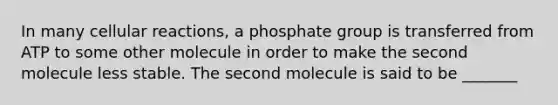 In many cellular reactions, a phosphate group is transferred from ATP to some other molecule in order to make the second molecule less stable. The second molecule is said to be _______