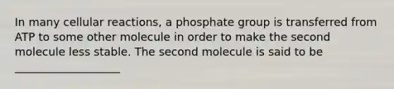 In many cellular reactions, a phosphate group is transferred from ATP to some other molecule in order to make the second molecule less stable. The second molecule is said to be ___________________