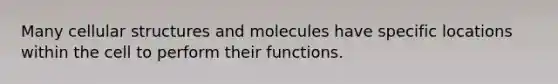 Many cellular structures and molecules have specific locations within the cell to perform their functions.