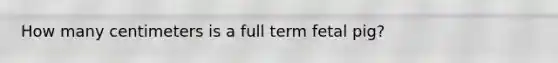 How many centimeters is a full term fetal pig?