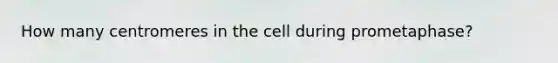 How many centromeres in the cell during prometaphase?