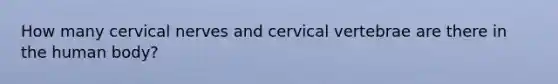 How many cervical nerves and cervical vertebrae are there in the human body?