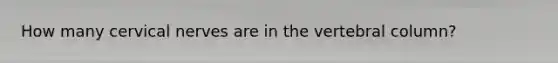 How many cervical nerves are in the vertebral column?