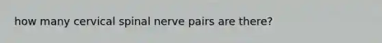 how many cervical spinal nerve pairs are there?