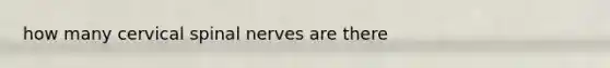 how many cervical spinal nerves are there